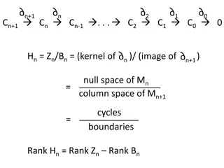 Homology in Mathematics