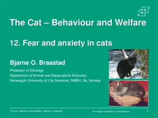 Fear and Anxiety in Cats – Insights from Cat Behavior Studies