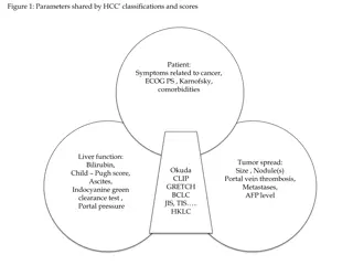 Comprehensive Information on Liver Cancer Classification and Treatment Guidelines