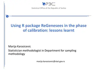 Statistical Office of Serbia: Calibration Lessons and Techniques