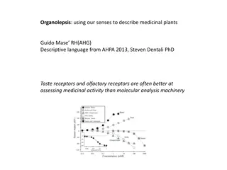 Sensory Analysis of Medicinal Plants