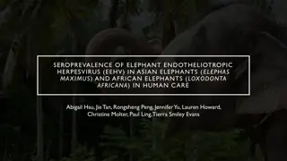 Seroprevalence of Elephant Endotheliotropic Herpesvirus in Elephants