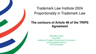 Proportionality in Trademark Law: Understanding Article 46 of TRIPS Agreement