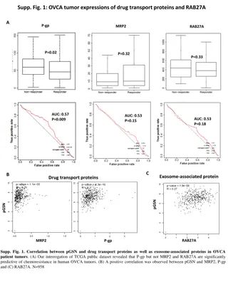 OVCA Tumor Drug Transport Proteins and RAB27A Expression Analysis