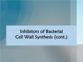 Cephalosporins: Structure, Spectrum, and Uses
