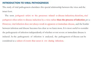 Viral Pathogenesis and Infection Dynamics