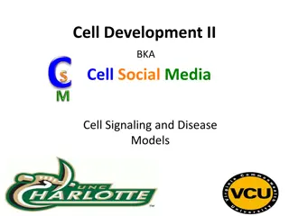 Cell Signaling and Disease Models in Biology Classes
