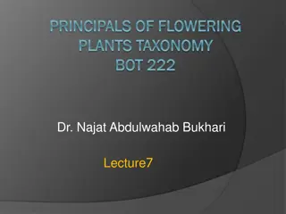 Ovules in Flowering Plants