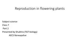 Reproduction in Flowering Plants - Class 7 Science