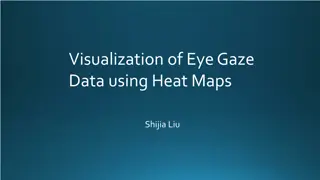 Eye Gaze Data Visualization Techniques and Insights