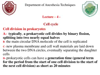 Cell Cycle Division in Prokaryotes and Eukaryotes: A Comparative Study
