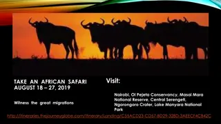 Amazing African Safari Adventure
