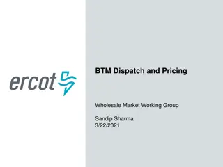 BTM Dispatch and Pricing Wholesale Market Working Group Summary