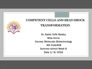 Preparation of Competent Cells and Heat-Shock Transformation
