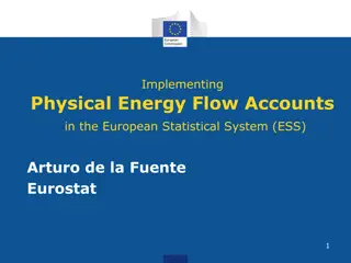 Implementing Physical Energy Flow Accounts in European Statistical System