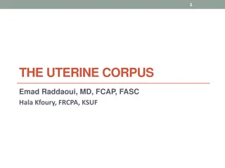 Uterine Pathologies: Endometritis, Hyperplasia, and Leiomyomas