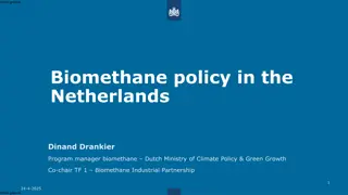 Biomethane Policy Upscaling Challenges and Solutions