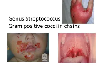 Streptococcus Bacteria Classification and Characteristics