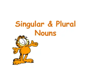 Mastering Singular and Plural Nouns Guide