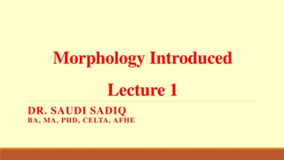 Morphology: A Comprehensive Overview