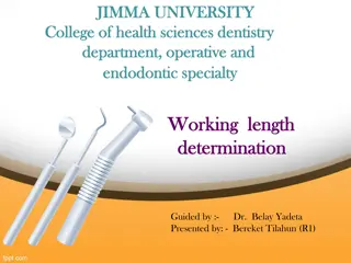 Working Length Determination in Endodontics
