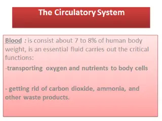 Understanding the Circulatory System: Red and White Blood Cells