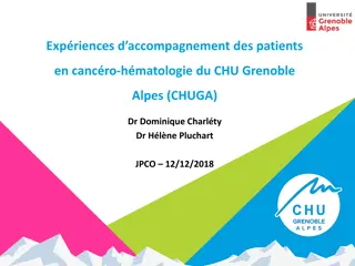Patients' Accompaniment Experiences in Oncology-Hematology at CHU Grenoble Alpes