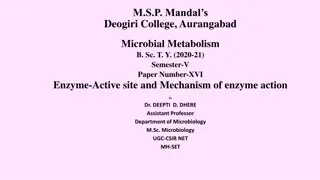 Enzyme Active Site and Mechanism of Enzyme Action Explained