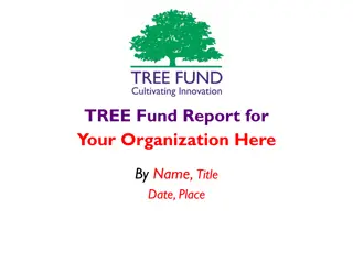TREE Fund Organization Overview and Achievements