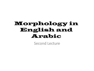 Understanding Morphology in English and Arabic