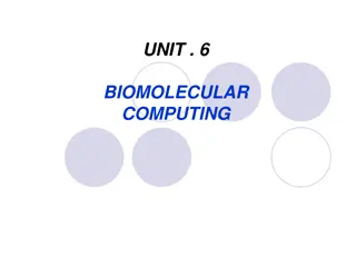 Biomolecular Computing