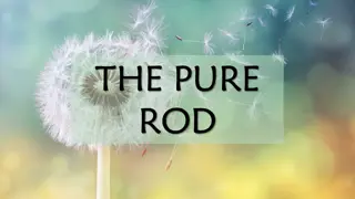 The Pure Rod: A Divine Message of Guidance and Salvation