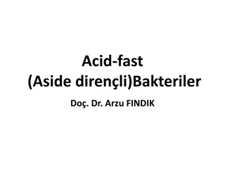 Acid-Fast Bacteria: Characteristics and Structure