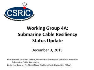 Submarine Cable Resiliency Status Update December 2015