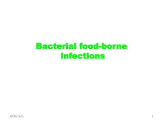 Understanding Typhoid Fever: Causes, Symptoms, and Complications