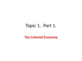 The Colonial Economy and Mercantilist System in History