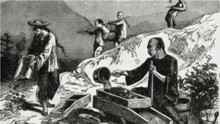 Historical Reflections on Immigration in Canada