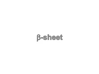 Understanding Protein Structures and Beta Sheets