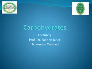 Understanding Carbohydrates: Types, Sources, and Functions