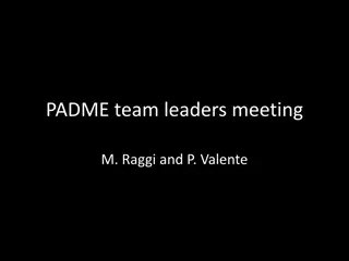 Advanced Team Structure and Project Status Overview