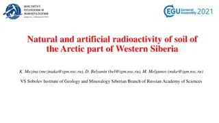 Radioactivity and Mineral Composition of Arctic Soil in Western Siberia