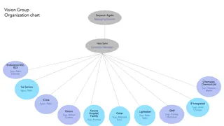 Organizational Structure of Vision Group and Agte Management Team