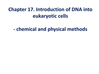 Introduction of DNA into Eukaryotic Cells: Methods and Goals
