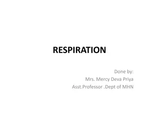Understanding Respiration and Muscles Involved in Breathing