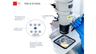 Microinjection Techniques for In Vitro Fertilization