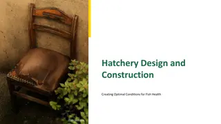 Creating Optimal Conditions for Fish Health at Hatchery