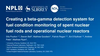 Beta-Gamma Detection System for Nuclear Fuel Monitoring