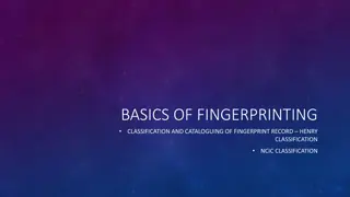 Basics of Fingerprint Classification and Cataloguing