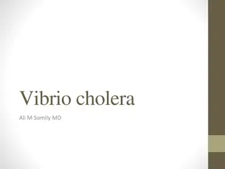 Cholera: Epidemiology, Microbiology, and Management