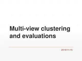 Multi-view Clustering and Evaluations Explained